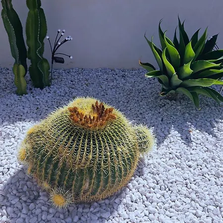 Casa Galia Nyaraló Alcalalí